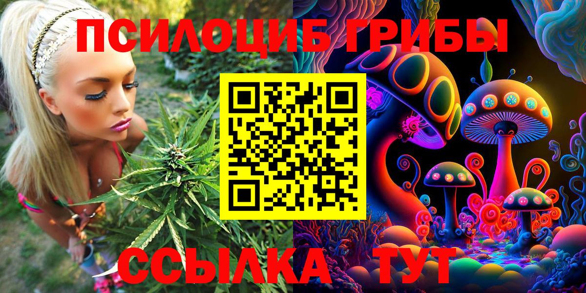 купить наркотики сайты  Вход с VPN  Ивантеевка  Галлюциногенные грибы MAGIC MUSHROOMS 