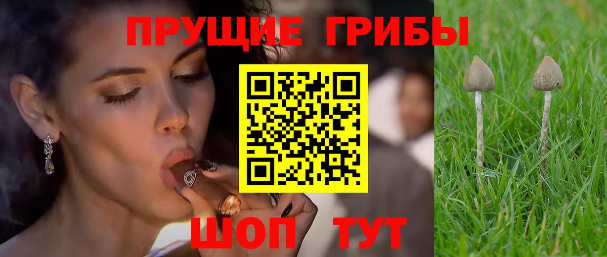 Галлюциногенные грибы MAGIC MUSHROOMS Ивантеевка